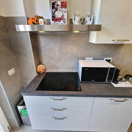 Casa Vacanze Fiore Ciampino Airport - Rome Station - 108 Mqs Ciampino